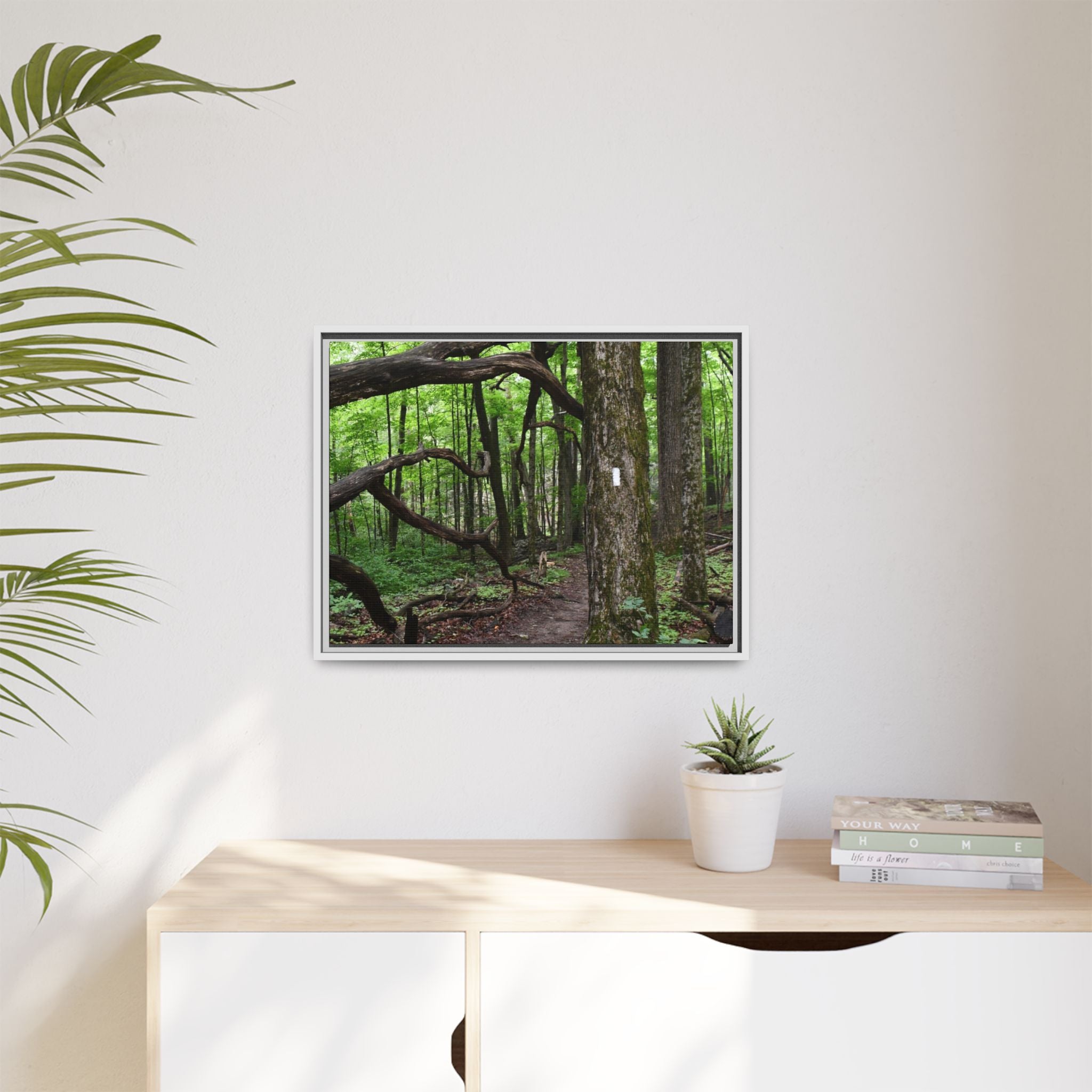 Framed Appalachian Trail Forest Canvas Print