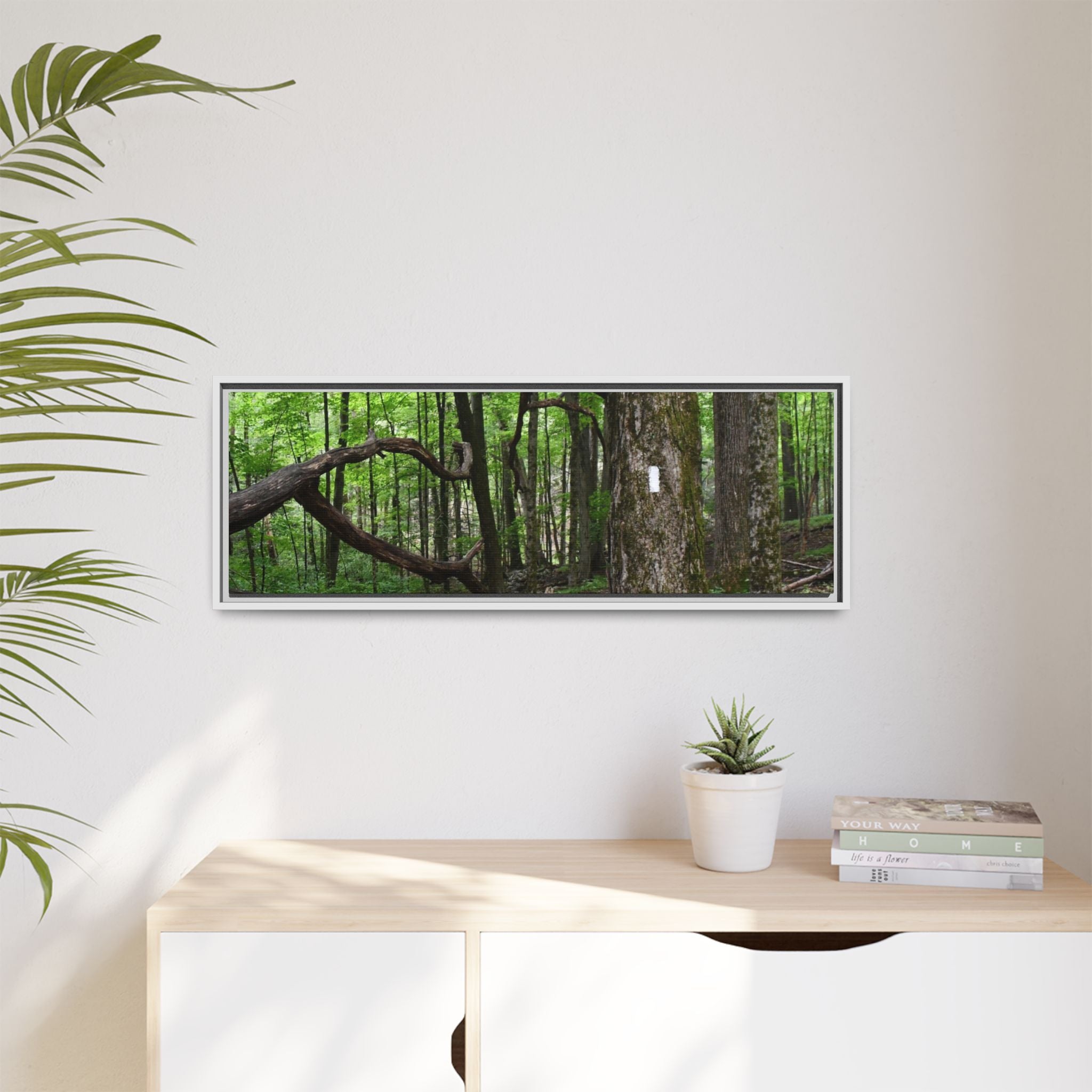 Framed Appalachian Trail Forest Canvas Print