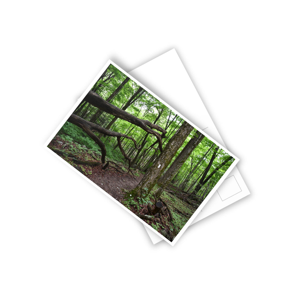 Appalachian Trail Blaze Postcard (10 ct)