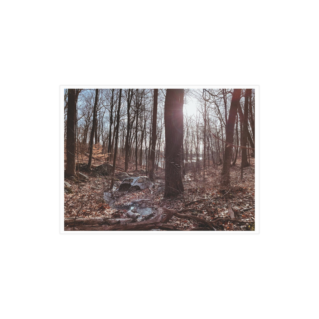 "Winter Stream" Forest Photo Print