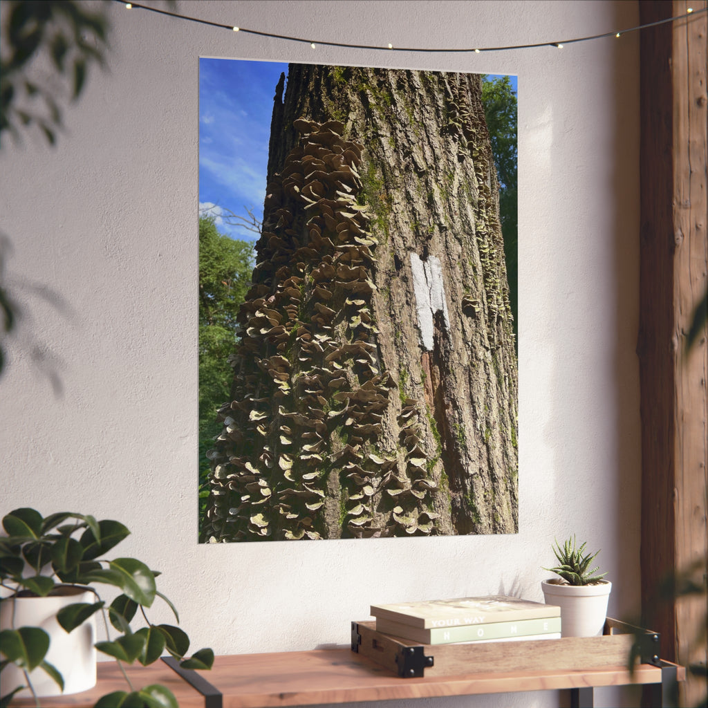 Appalachian Trail Blaze Poster (Multiple Sizes)
