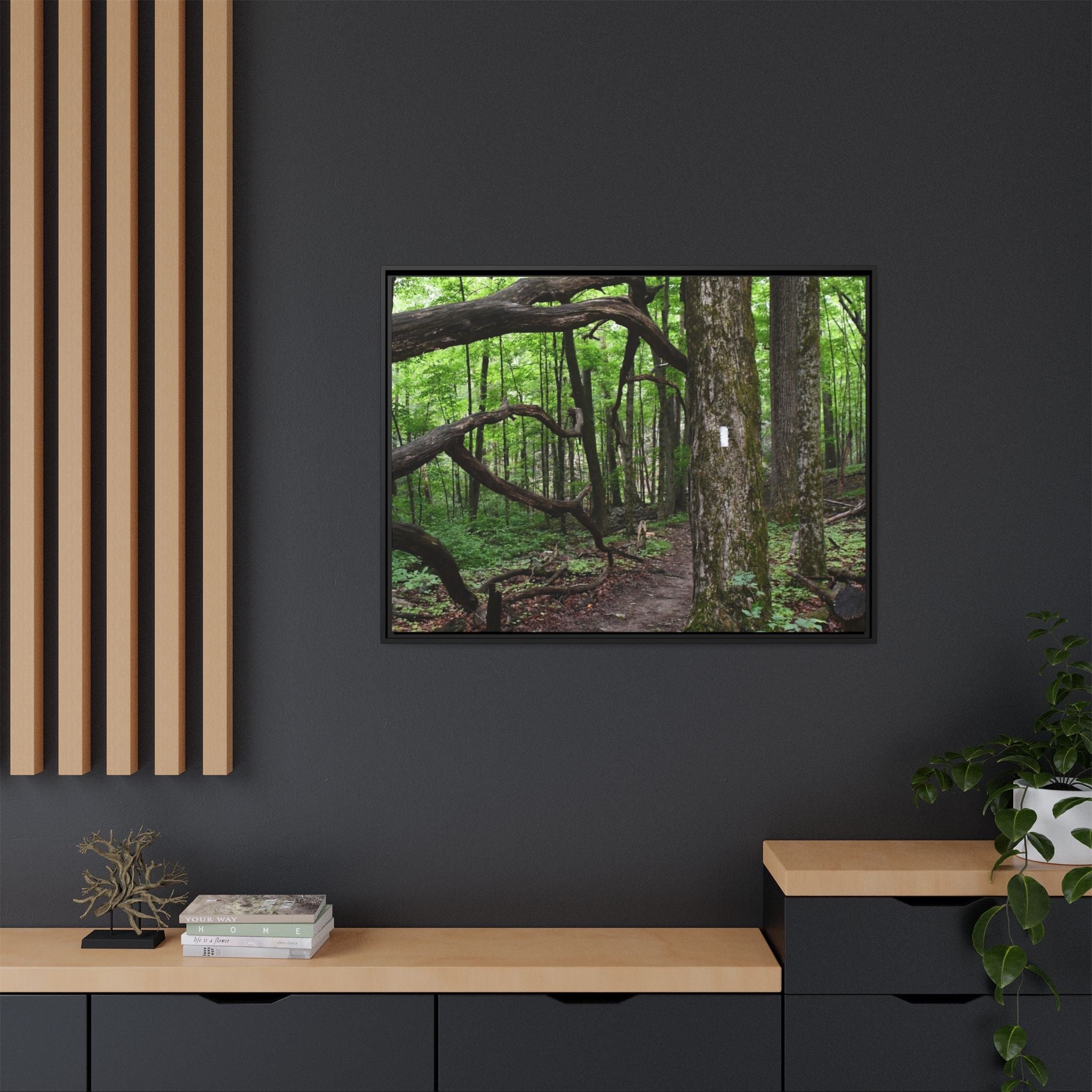 Framed Appalachian Trail Forest Canvas Print