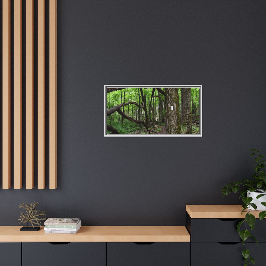 Framed Appalachian Trail Forest Canvas Print
