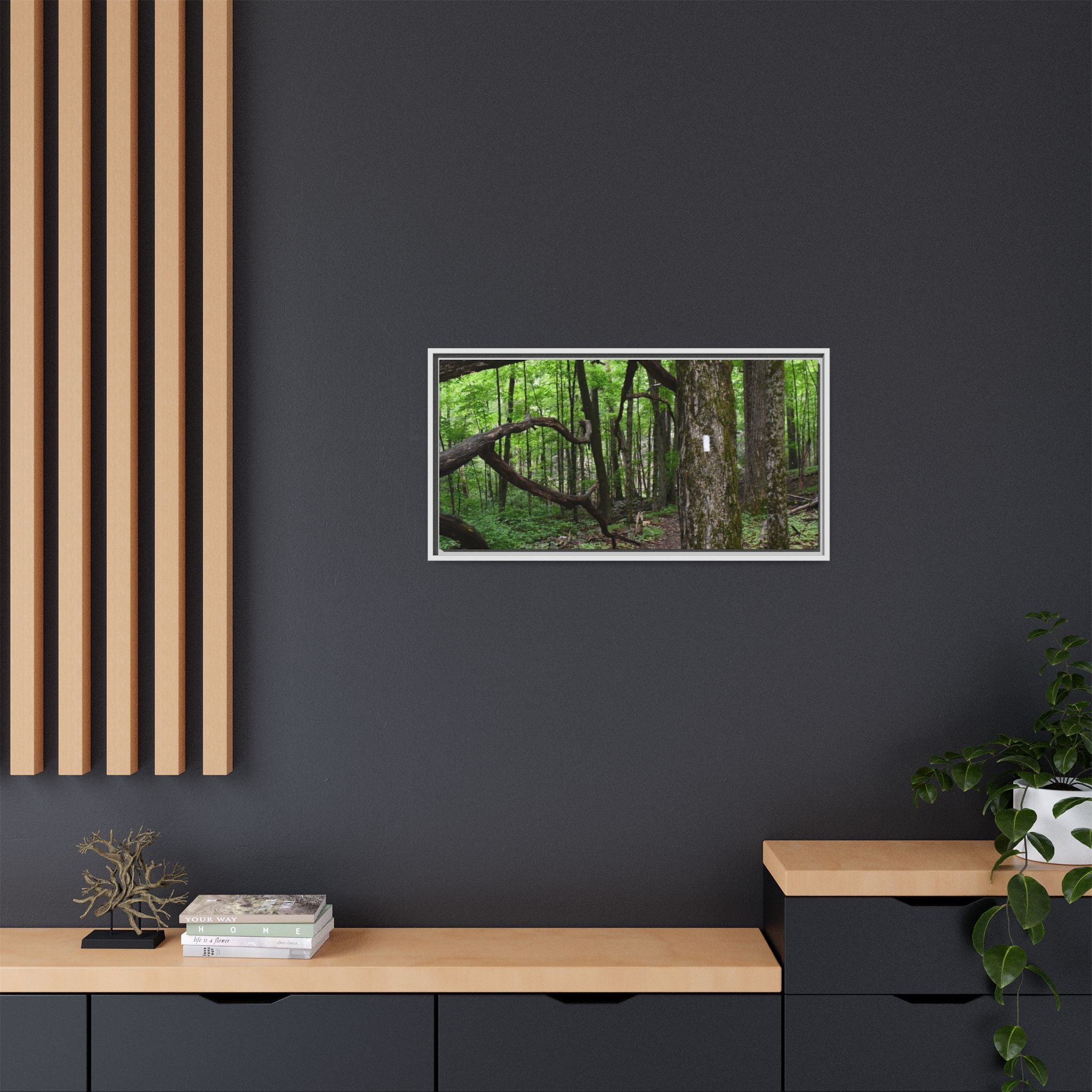 Framed Appalachian Trail Forest Canvas Print