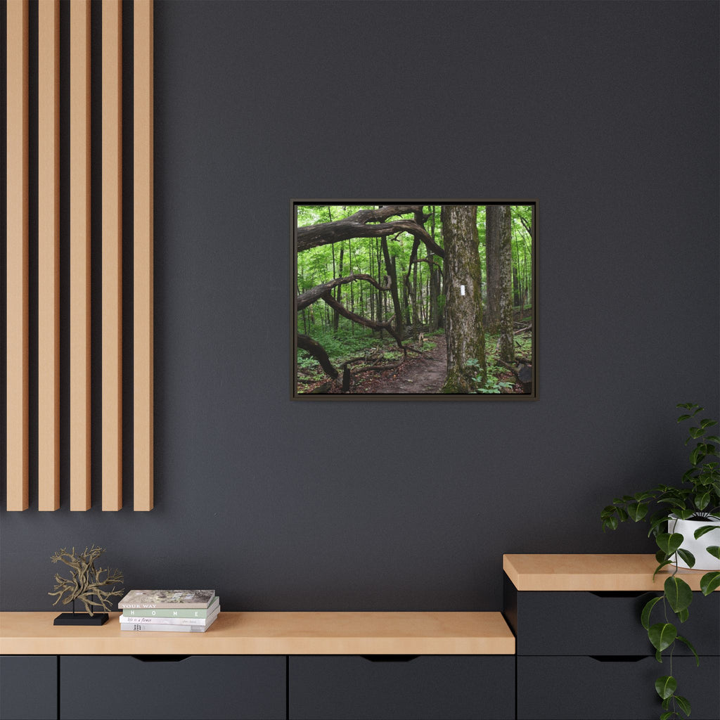 Framed Appalachian Trail Forest Canvas Print