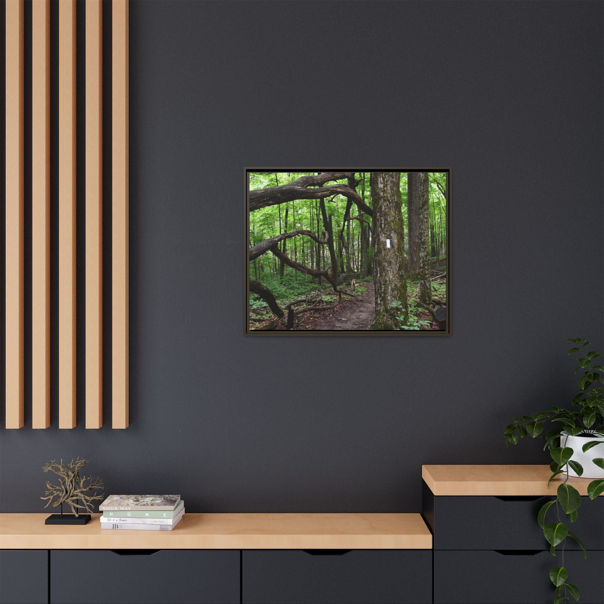 Framed Appalachian Trail Forest Canvas Print