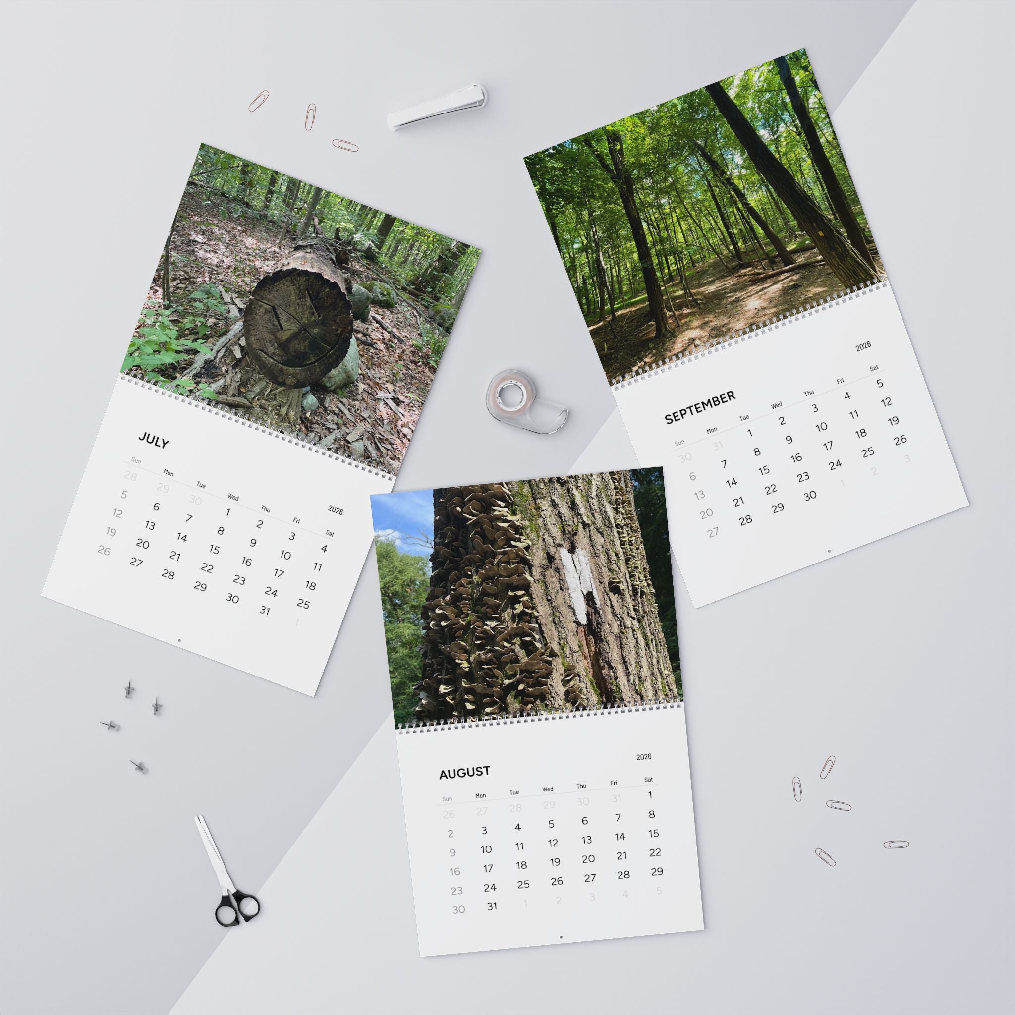 Nature Scenes 2026 Wall Calendar