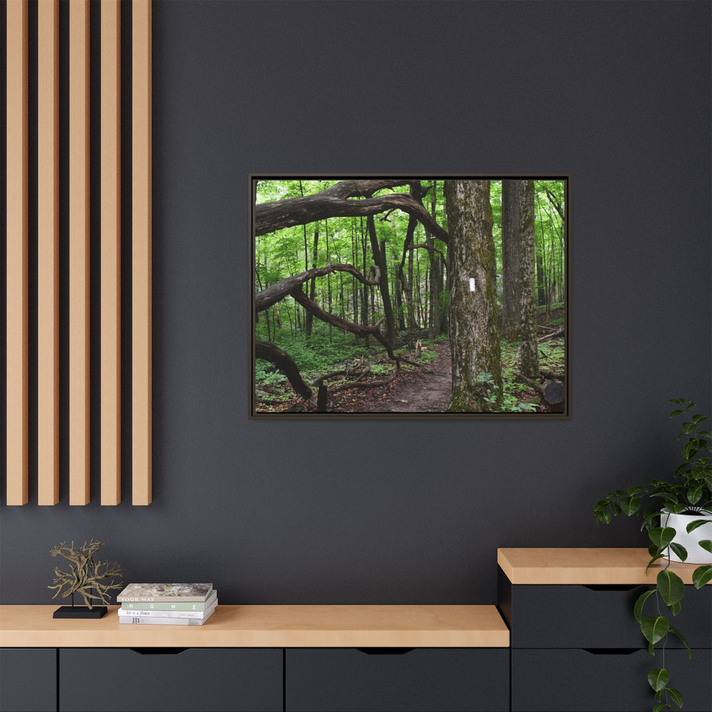 Framed Appalachian Trail Forest Canvas Print