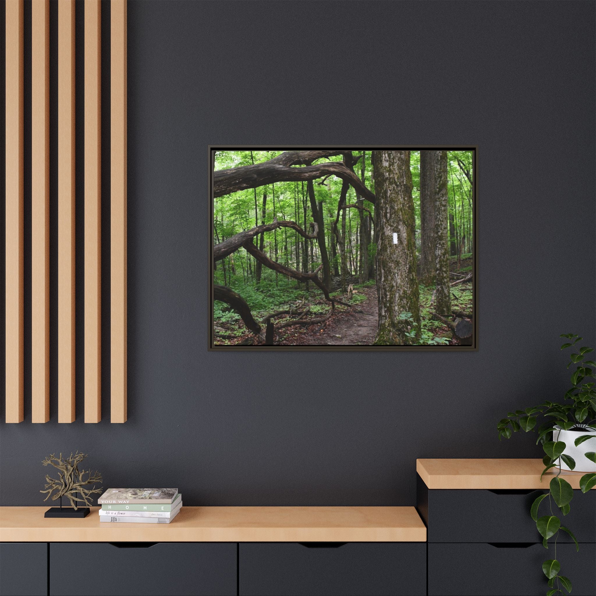 Framed Appalachian Trail Forest Canvas Print