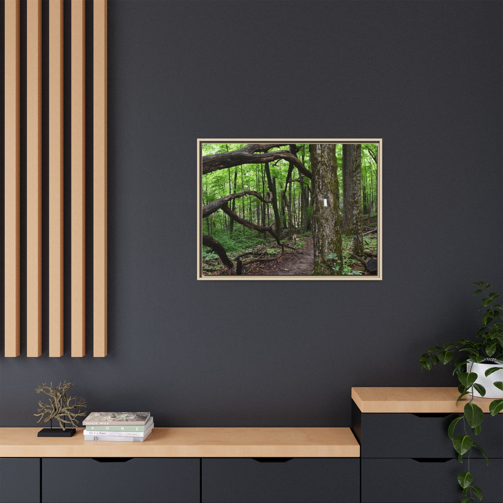 Framed Appalachian Trail Forest Canvas Print