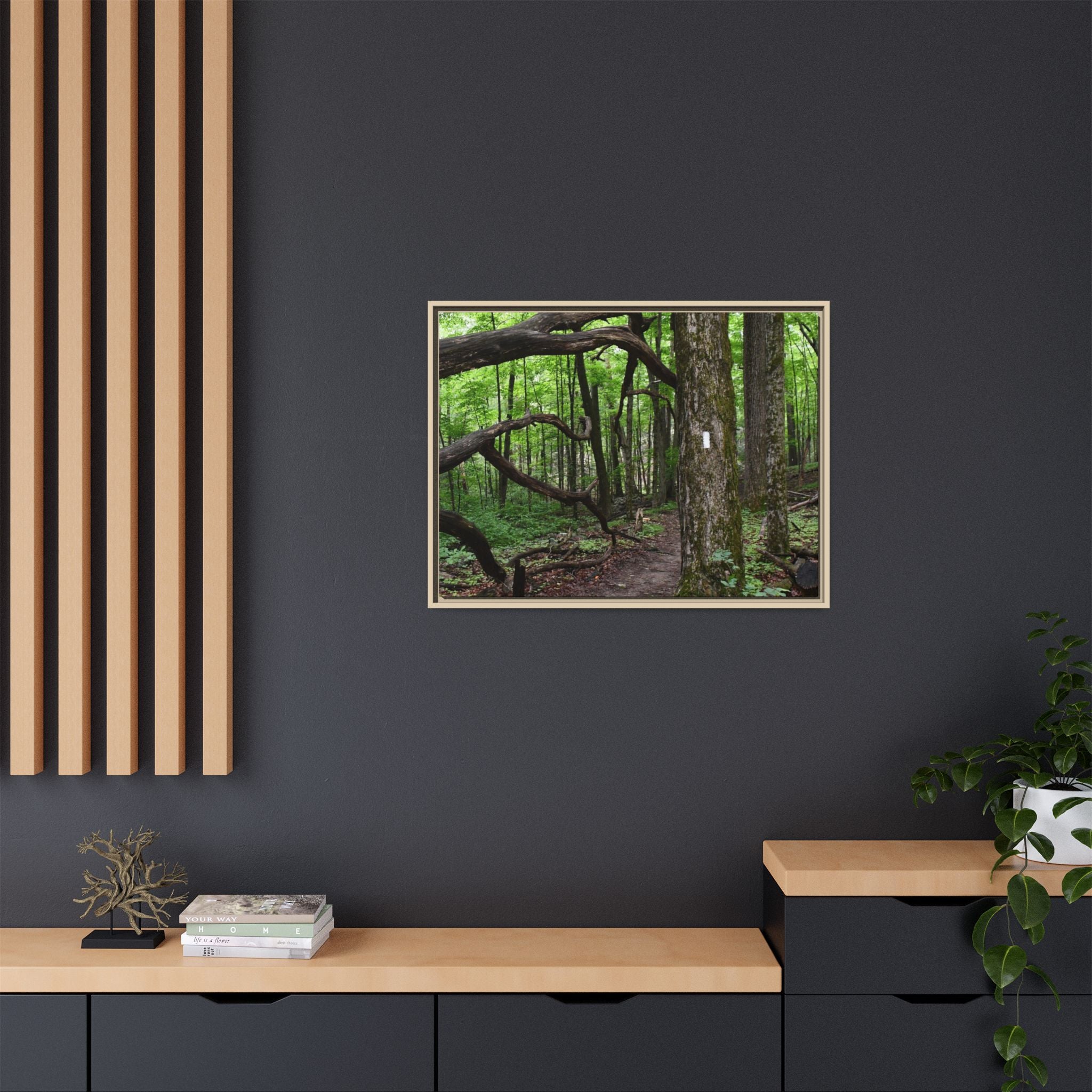 Framed Appalachian Trail Forest Canvas Print