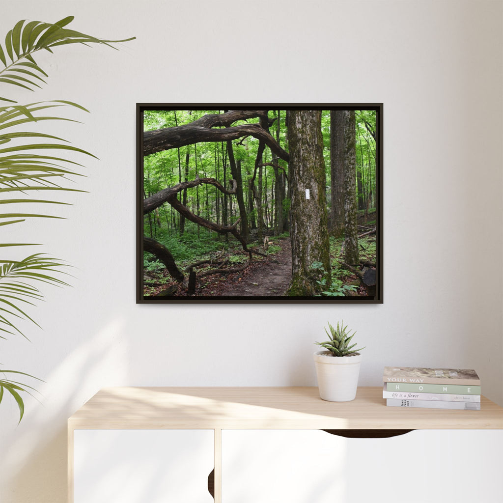 Framed Appalachian Trail Forest Canvas Print