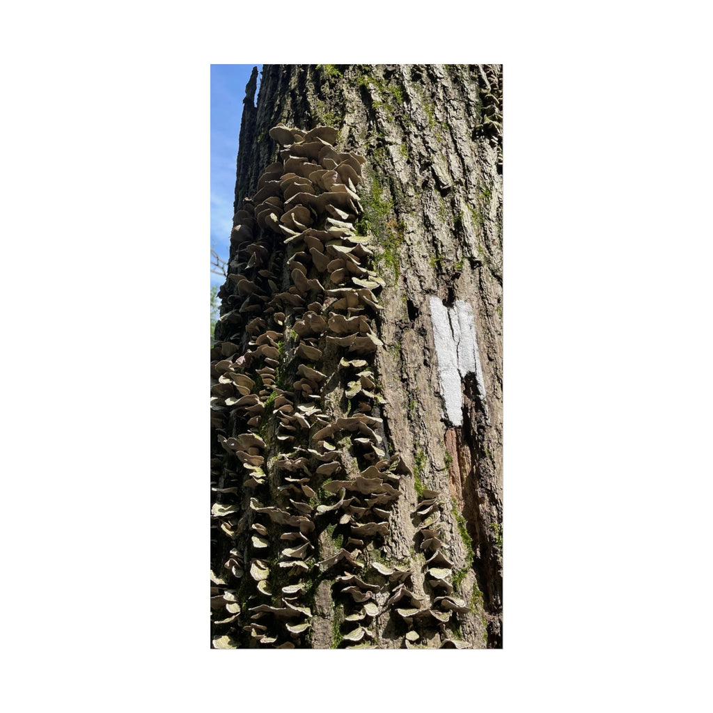 Appalachian Trail Blaze Poster (Multiple Sizes)