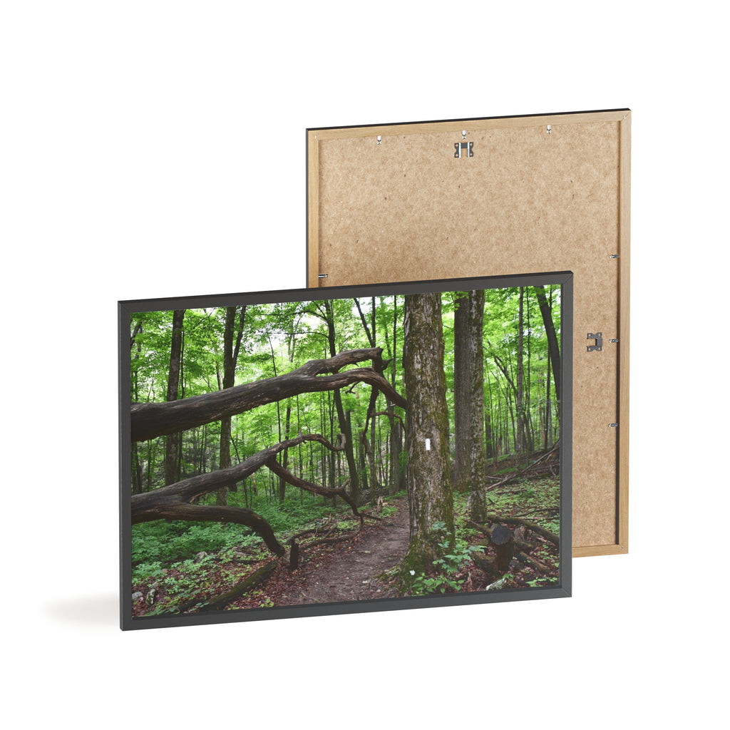 Appalachian Trail Blaze Framed Poster