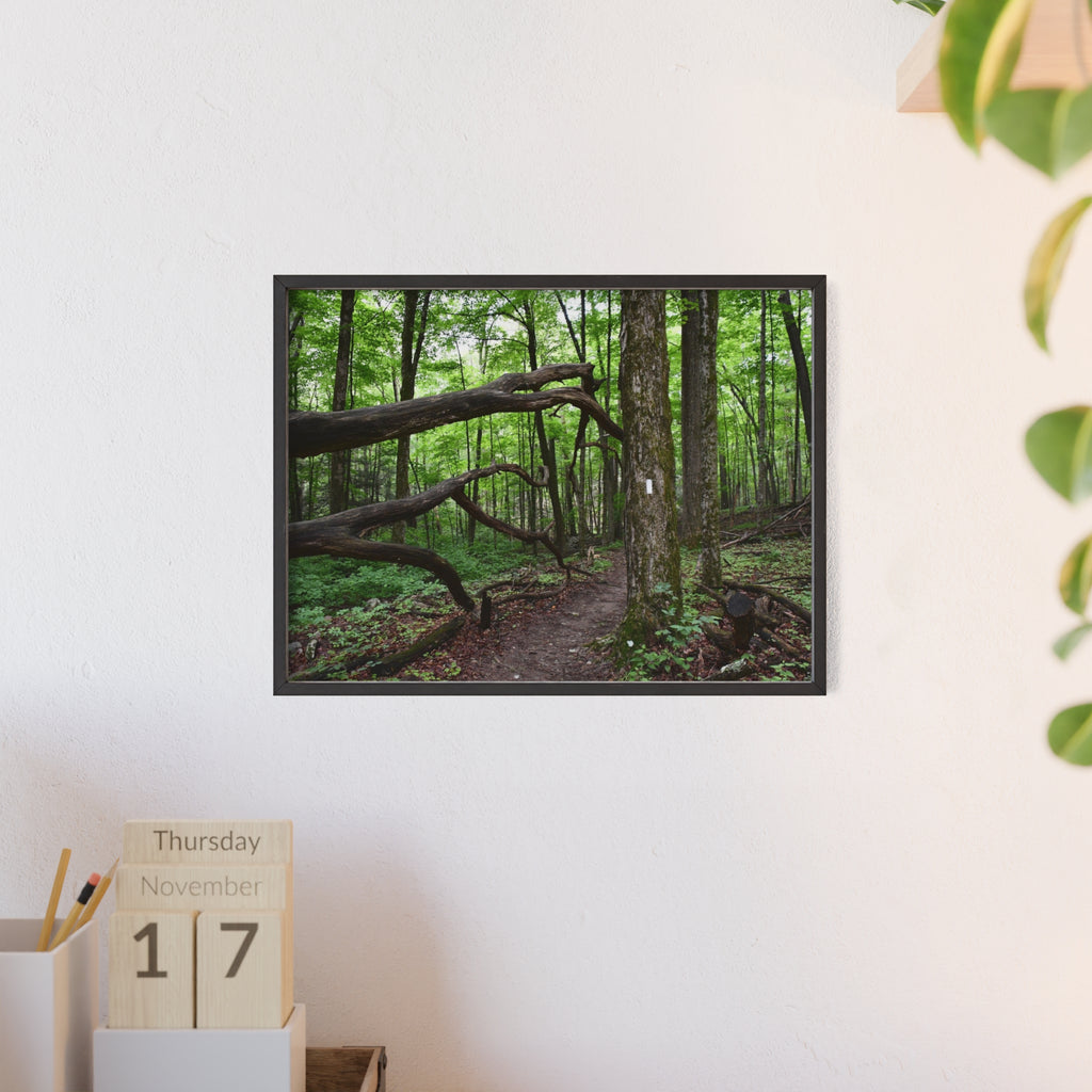 Appalachian Trail Blaze Framed Poster