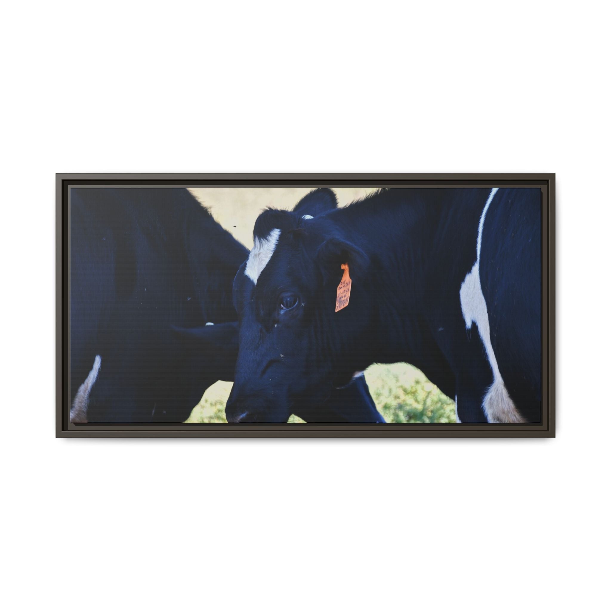 "Tilted Cow" Matte Framed Canvas