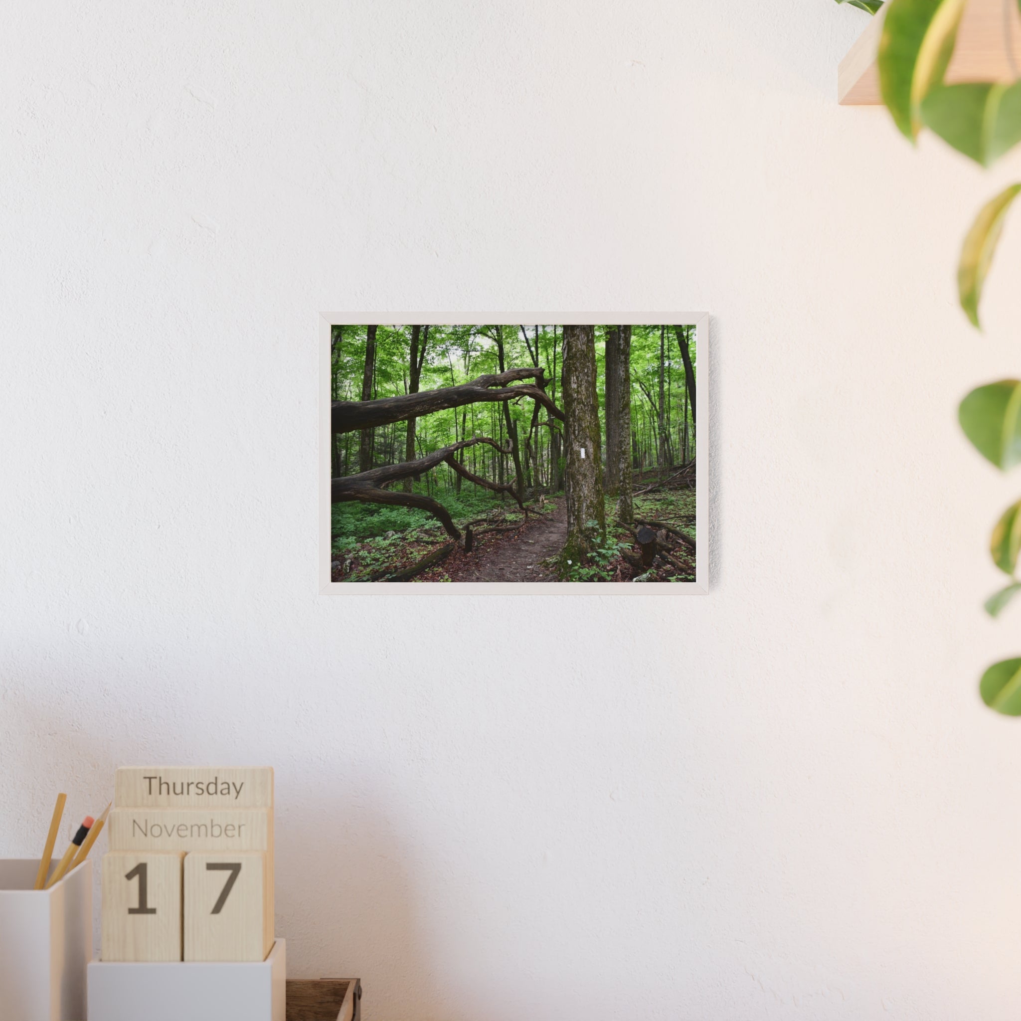 Appalachian Trail Blaze Framed Poster