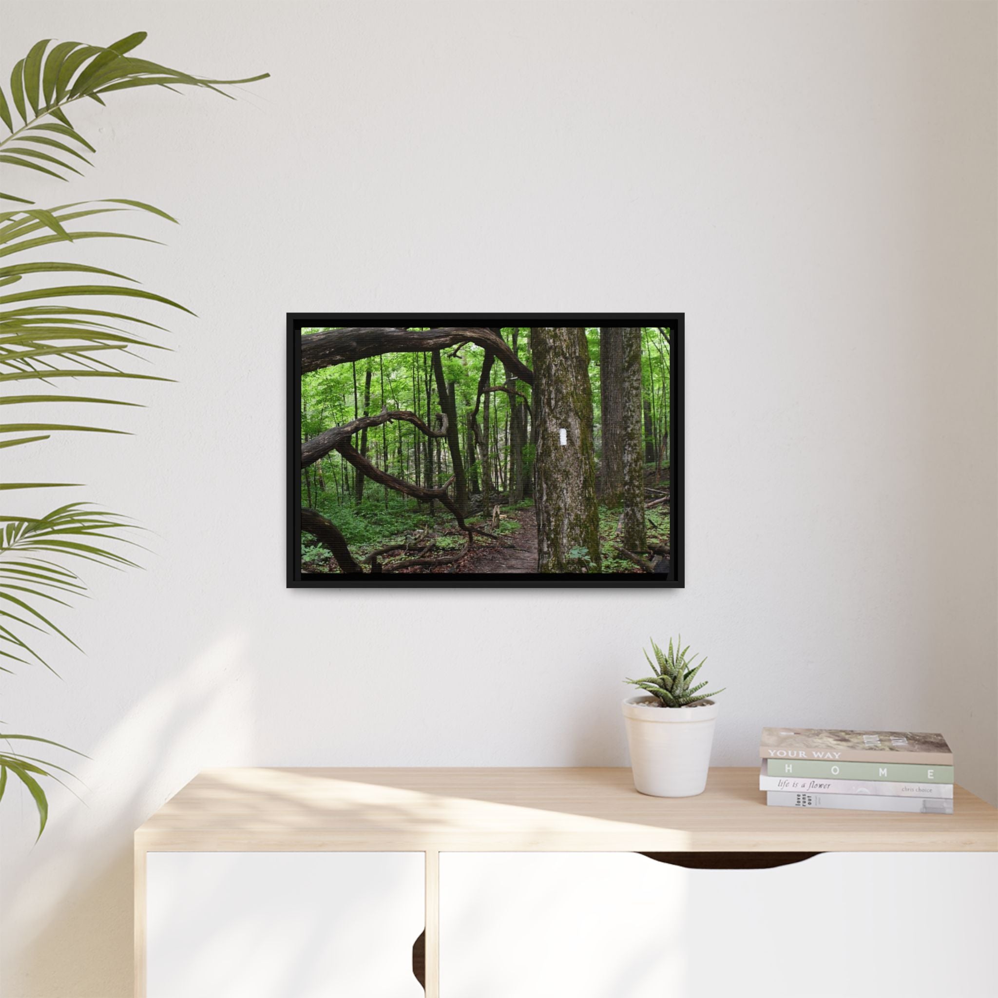 Framed Appalachian Trail Forest Canvas Print