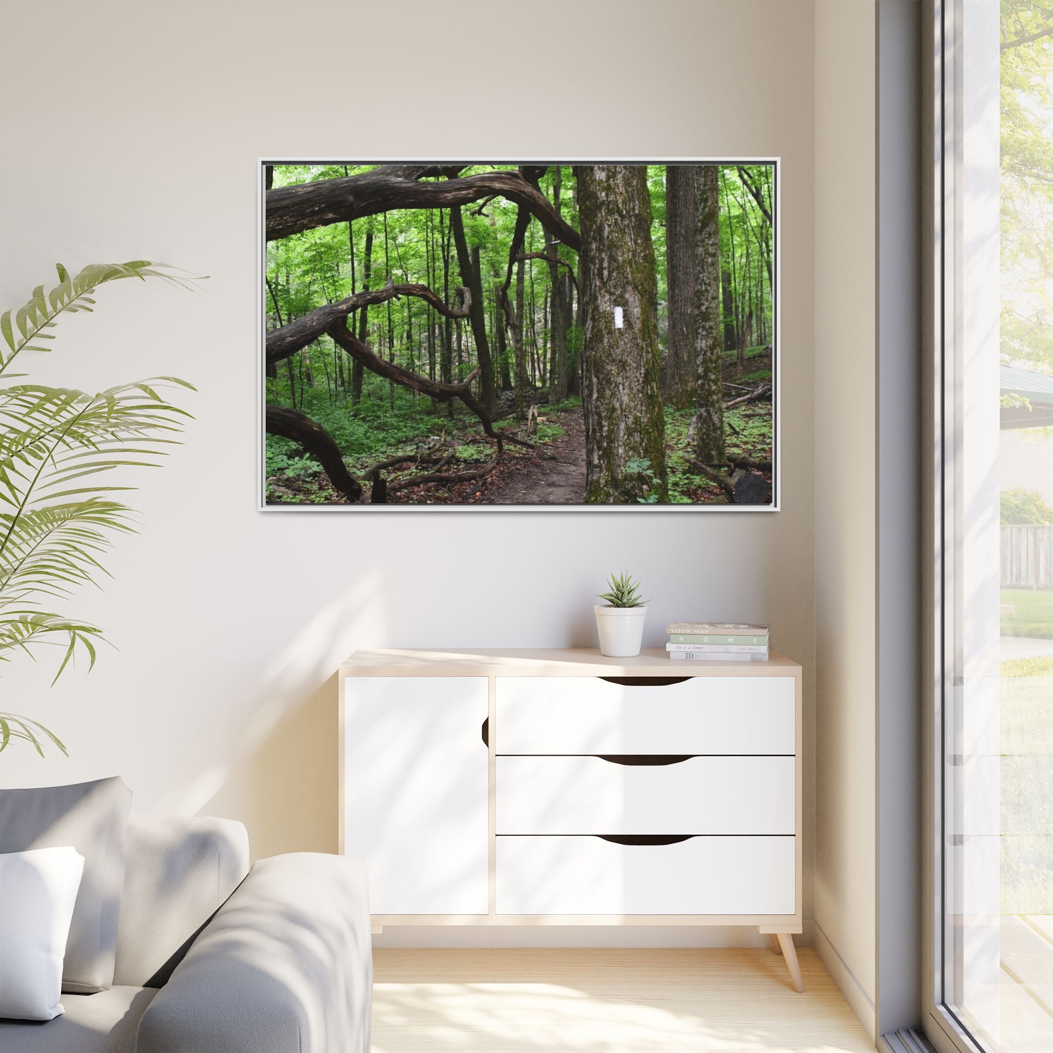Framed Appalachian Trail Forest Canvas Print