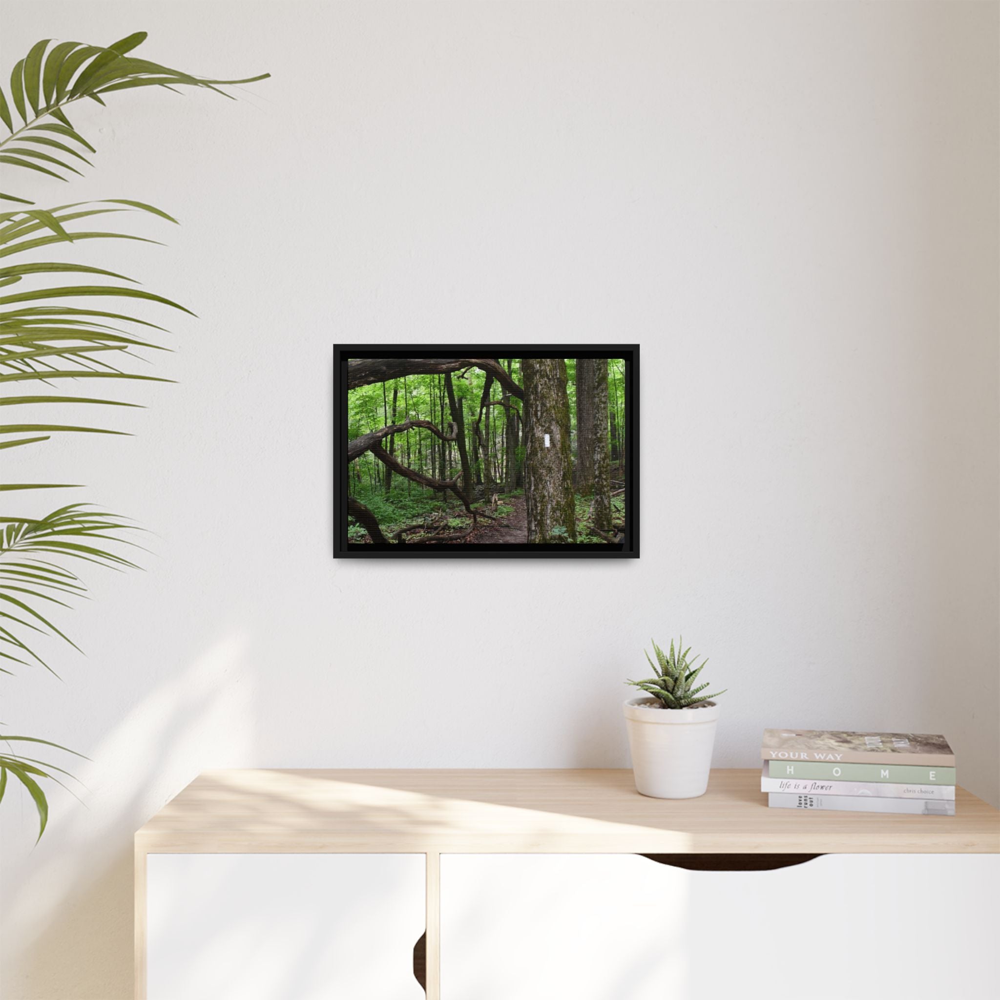 Framed Appalachian Trail Forest Canvas Print