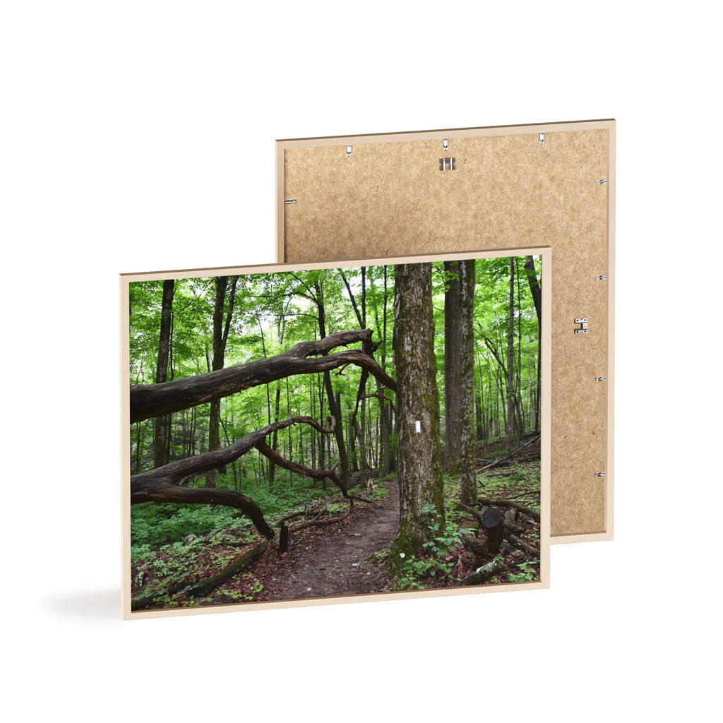 Appalachian Trail Blaze Framed Poster