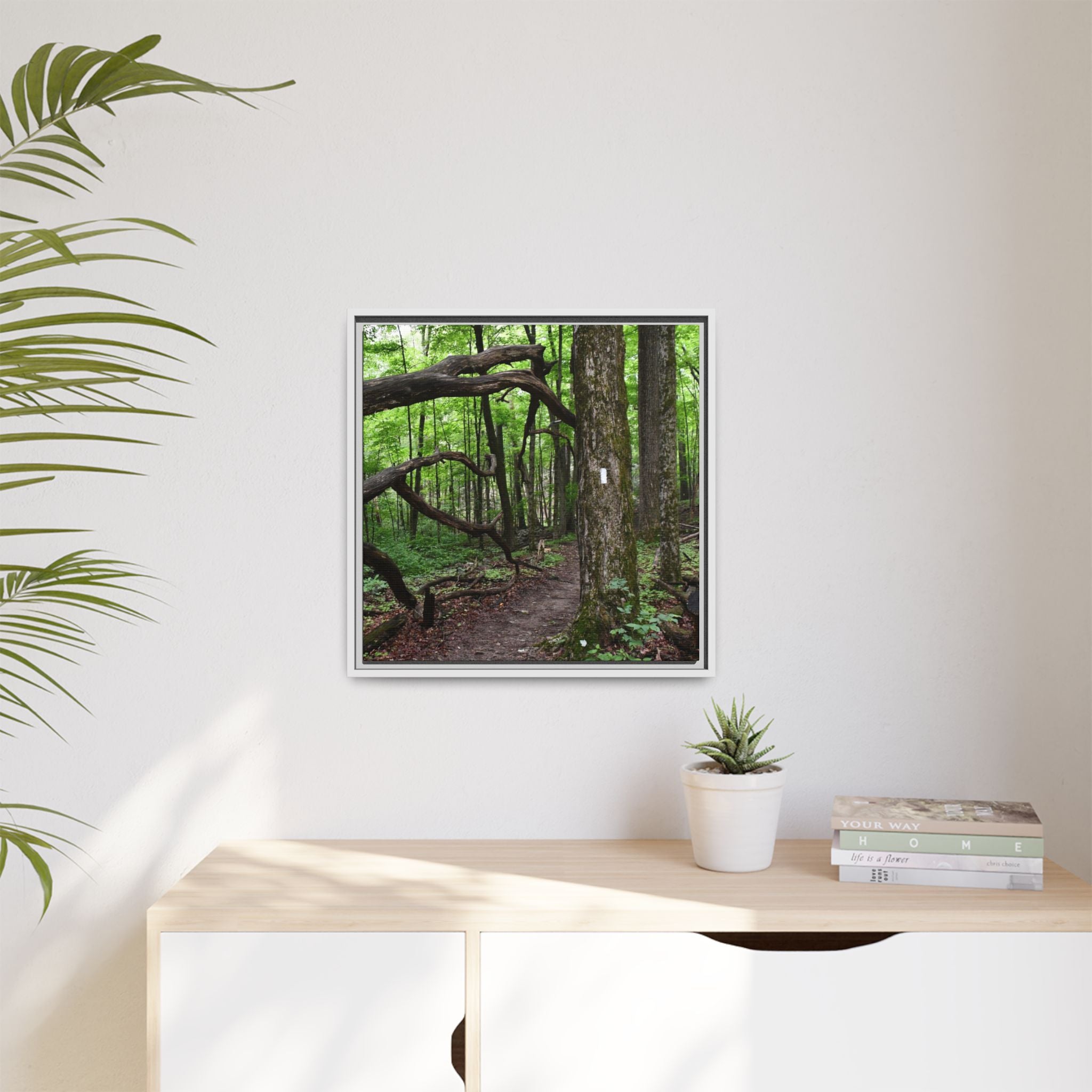 Framed Appalachian Trail Forest Canvas Print