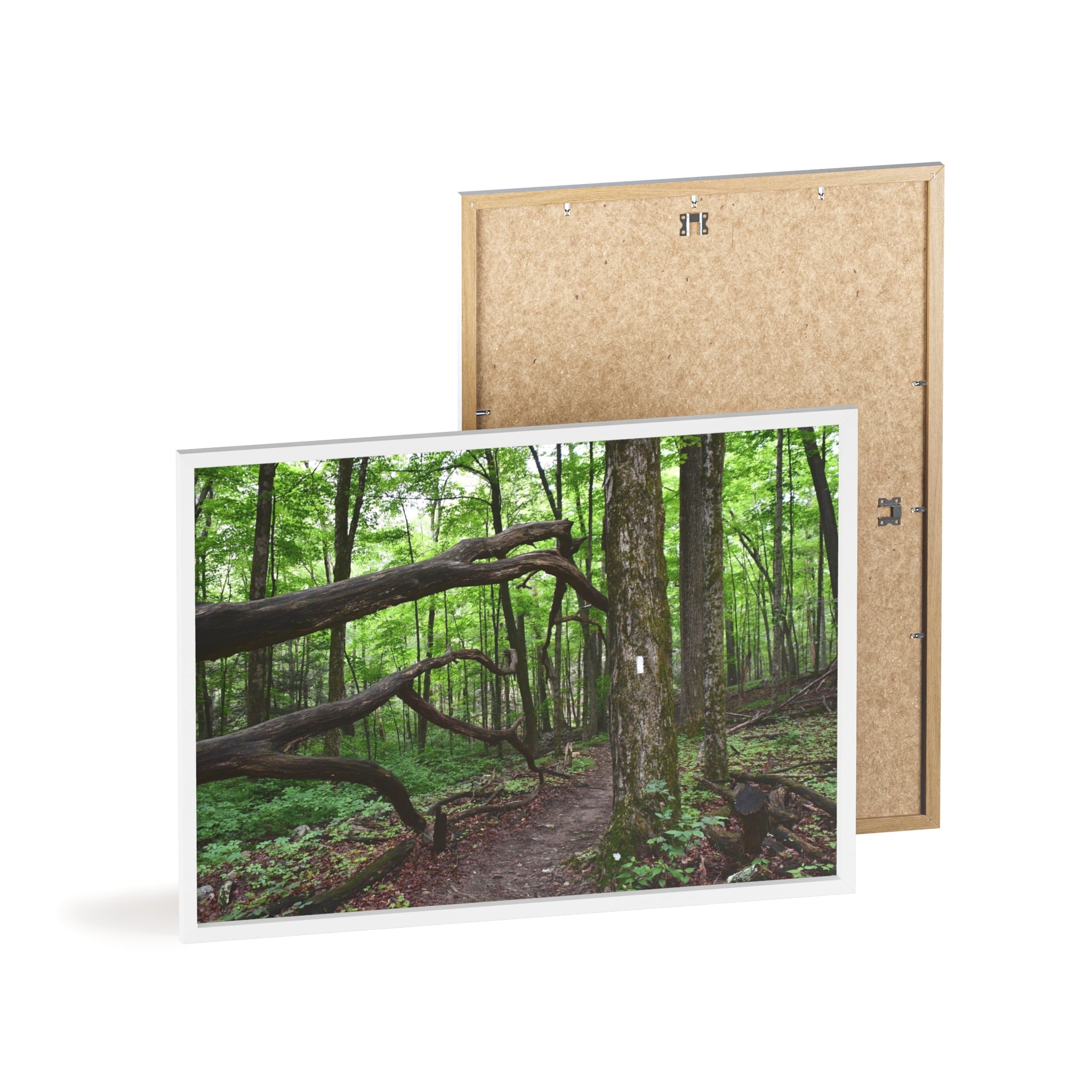 Appalachian Trail Blaze Framed Poster
