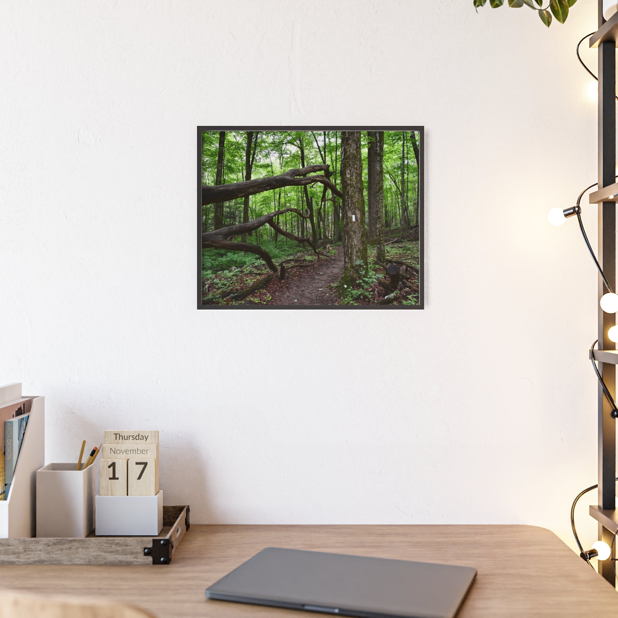 Appalachian Trail Blaze Framed Poster