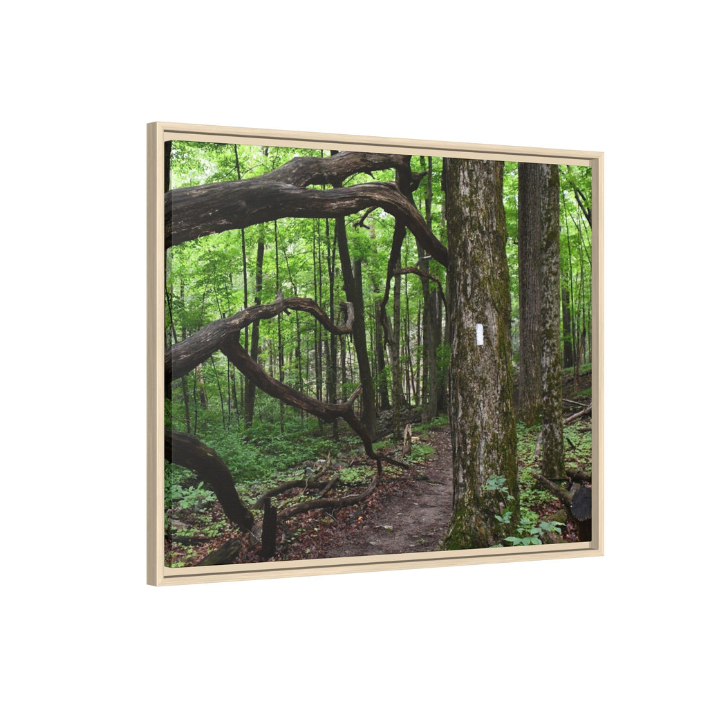 Framed Appalachian Trail Forest Canvas Print