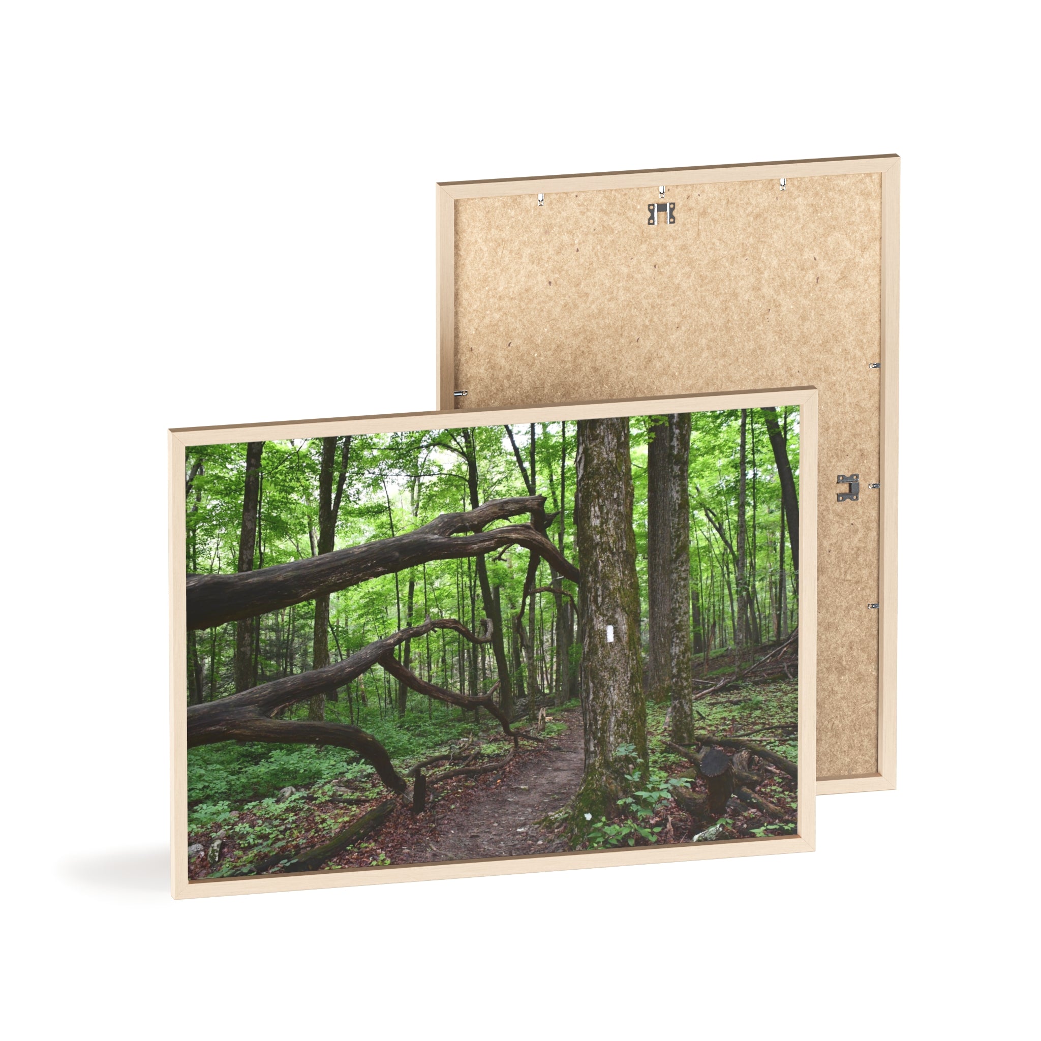 Appalachian Trail Blaze Framed Poster