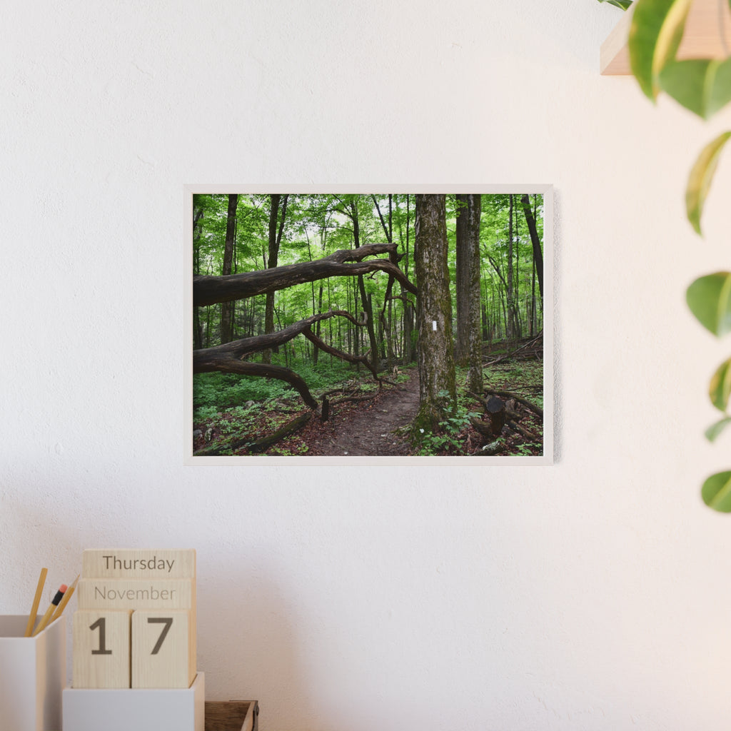 Appalachian Trail Blaze Framed Poster