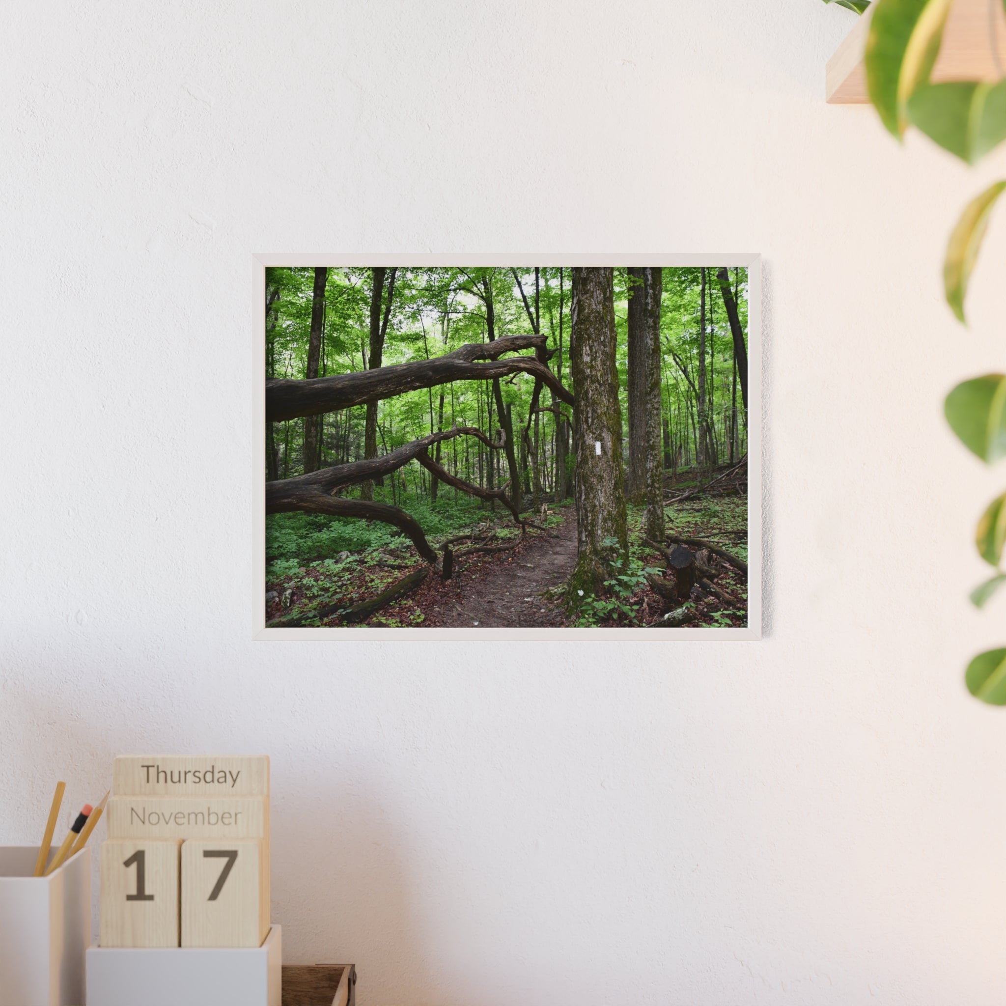 Appalachian Trail Blaze Framed Poster
