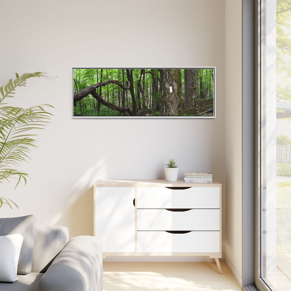 Framed Appalachian Trail Forest Canvas Print