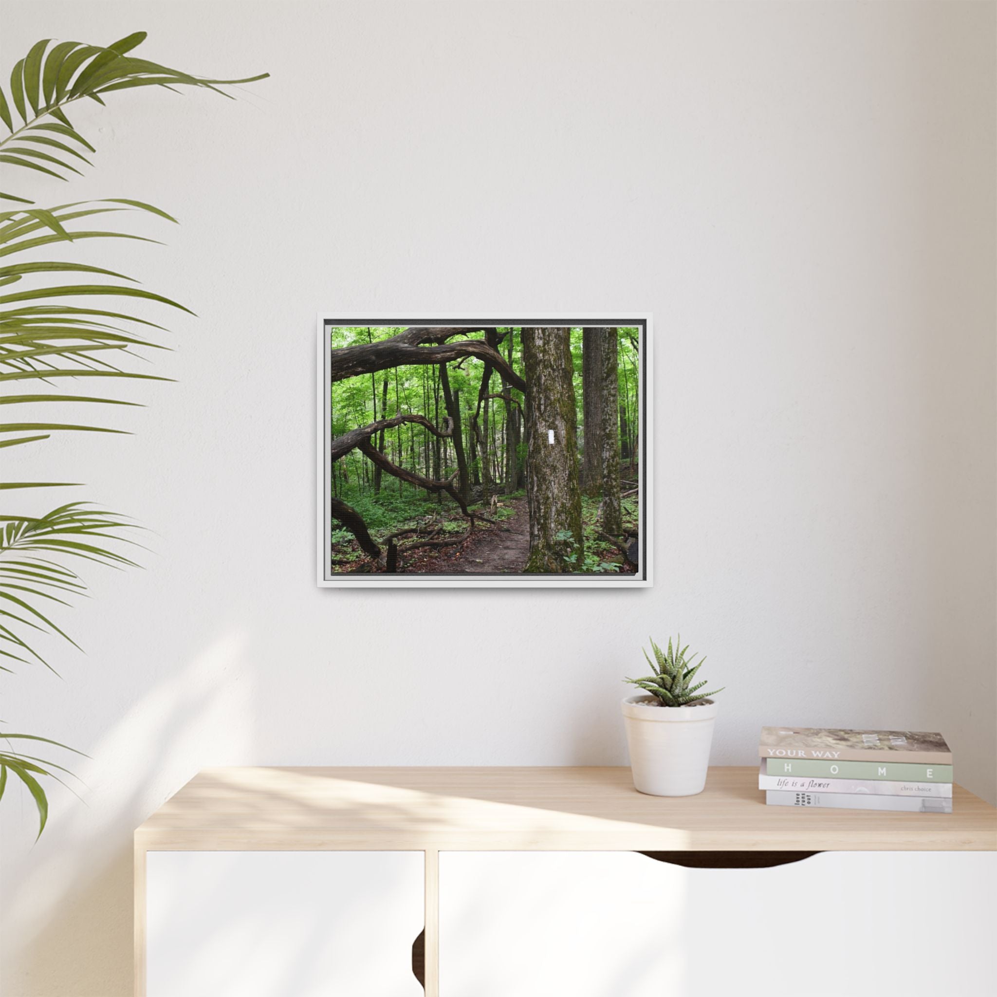 Framed Appalachian Trail Forest Canvas Print