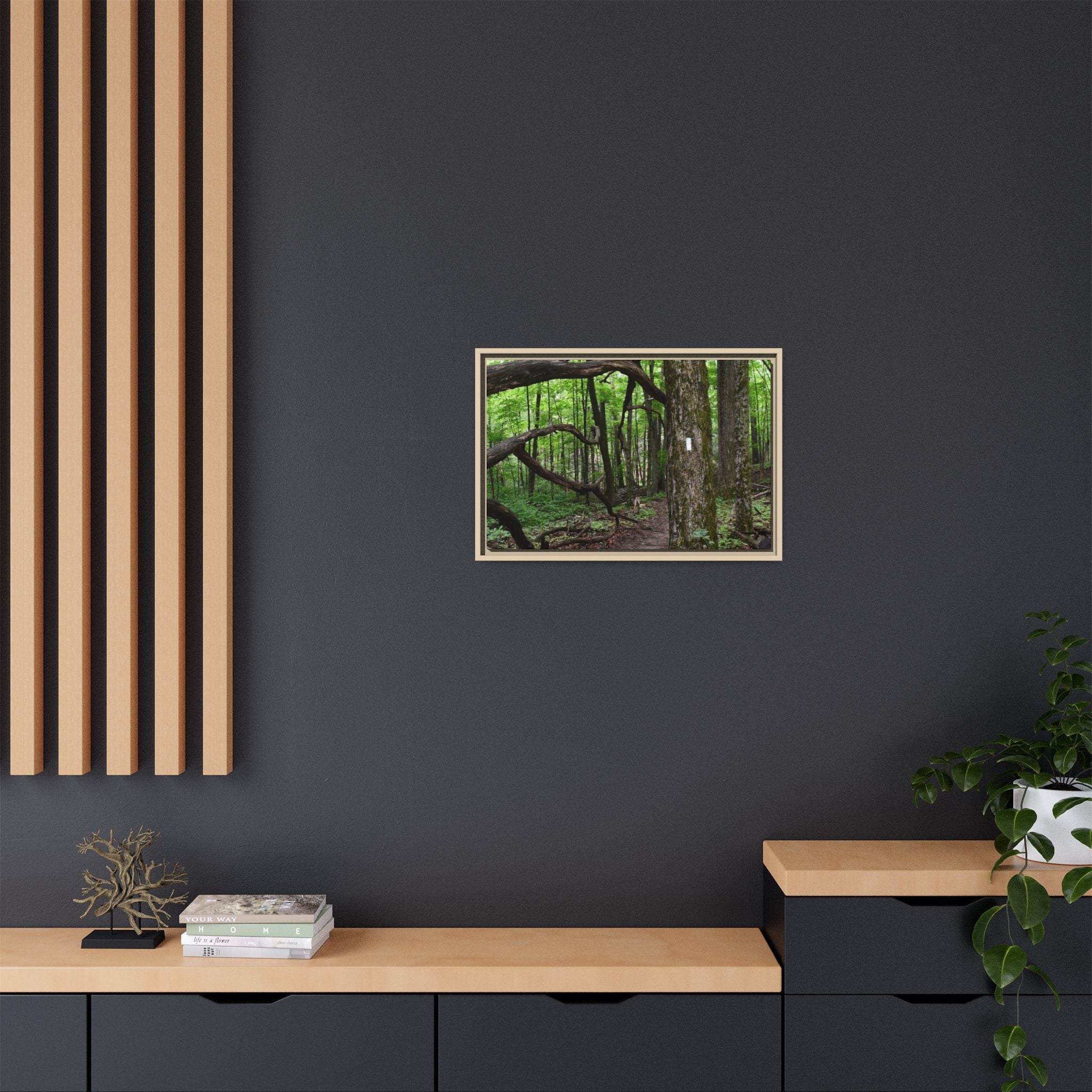 Framed Appalachian Trail Forest Canvas Print