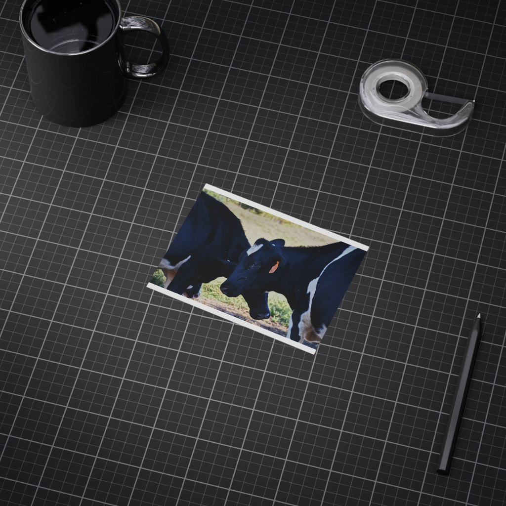 "Tilted Cow" Photo Print