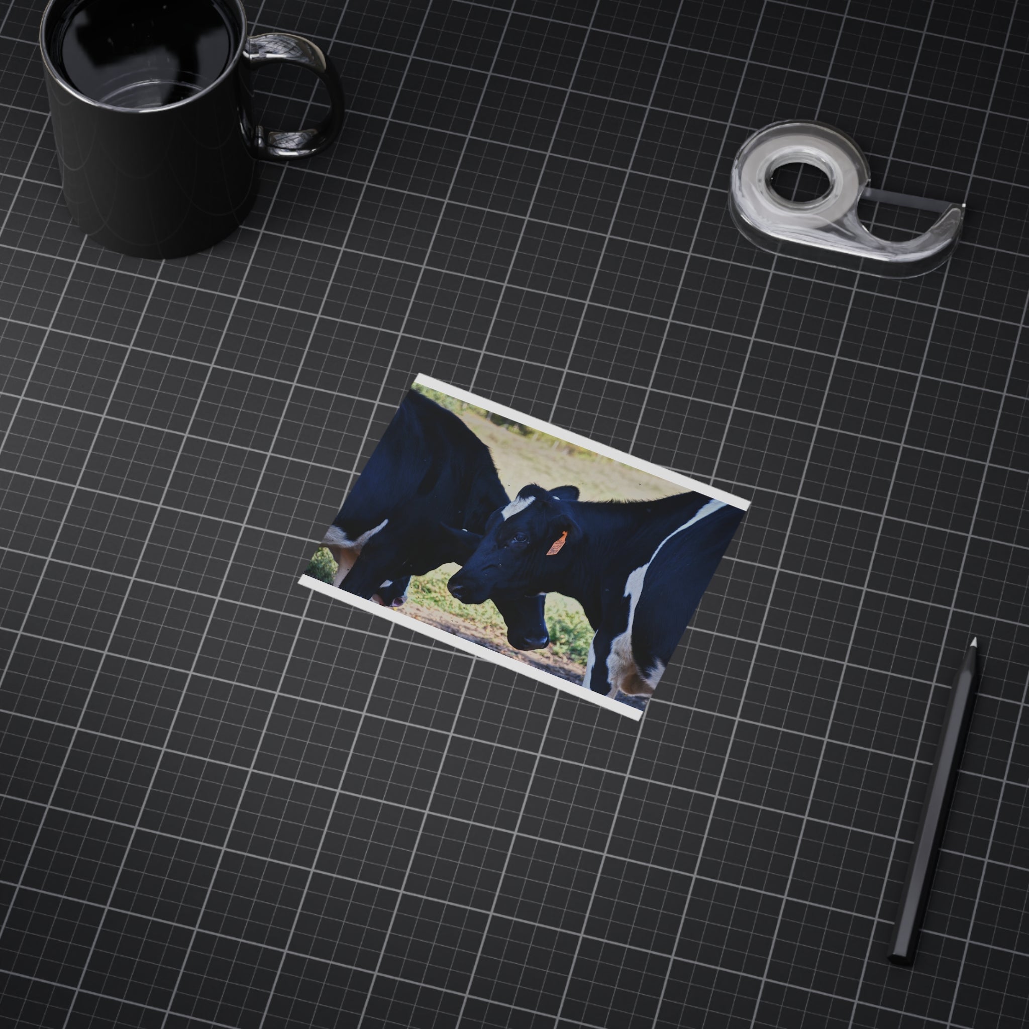 "Tilted Cow" Photo Print